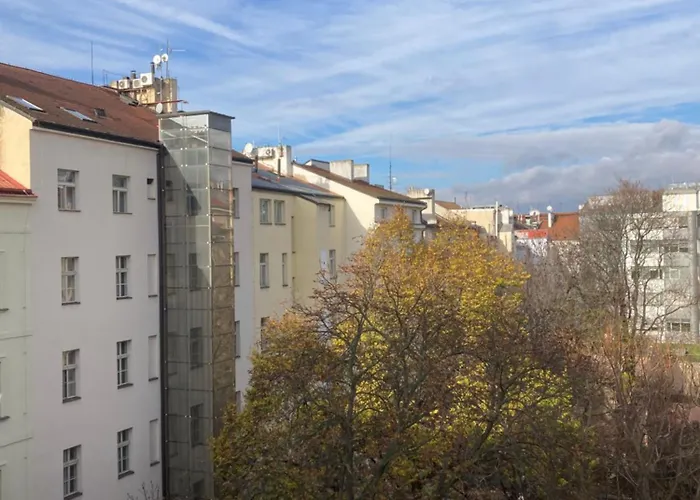 Brezina Prag