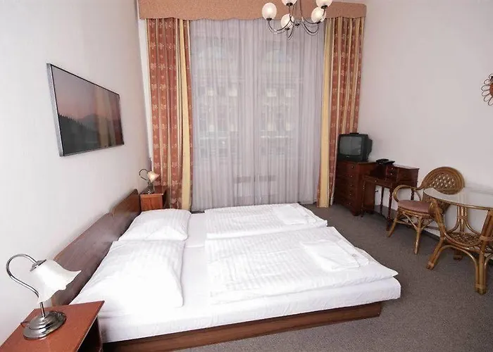 Brezina Hotel Prag
