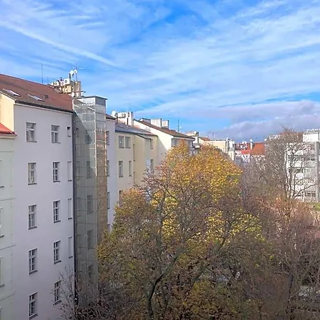 Brezina Prága