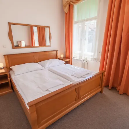 Hotel Brezina 3*