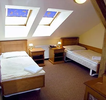 Hotel Brezina 3*