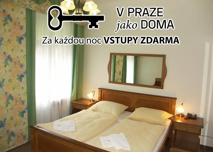 Brezina Prag