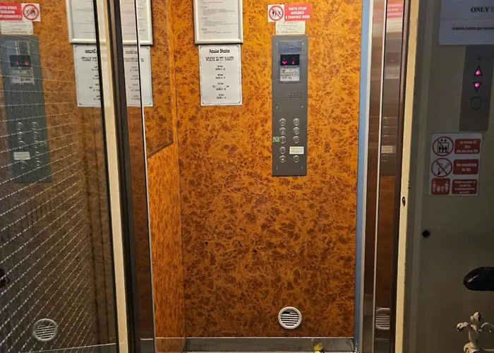 Brezina Prag
