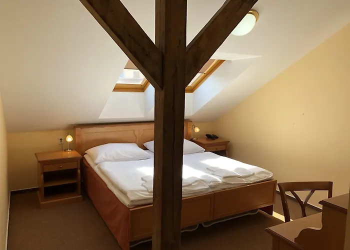 Brezina Hotel Prag